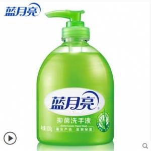 蓝月亮清洁抑菌 滋润保湿洗手液（芦荟）