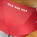 订制广告伞  定制直杆雨伞 （中盐）