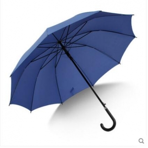 天堂伞 自动开钢骨直杆伞 双人伞