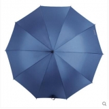 天堂伞 自动开钢骨直杆伞 双人伞