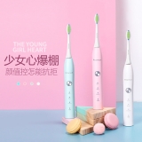 ROAMAN/罗曼电动牙刷声波震动充电式自动家用软毛情侣 成人儿童 T5